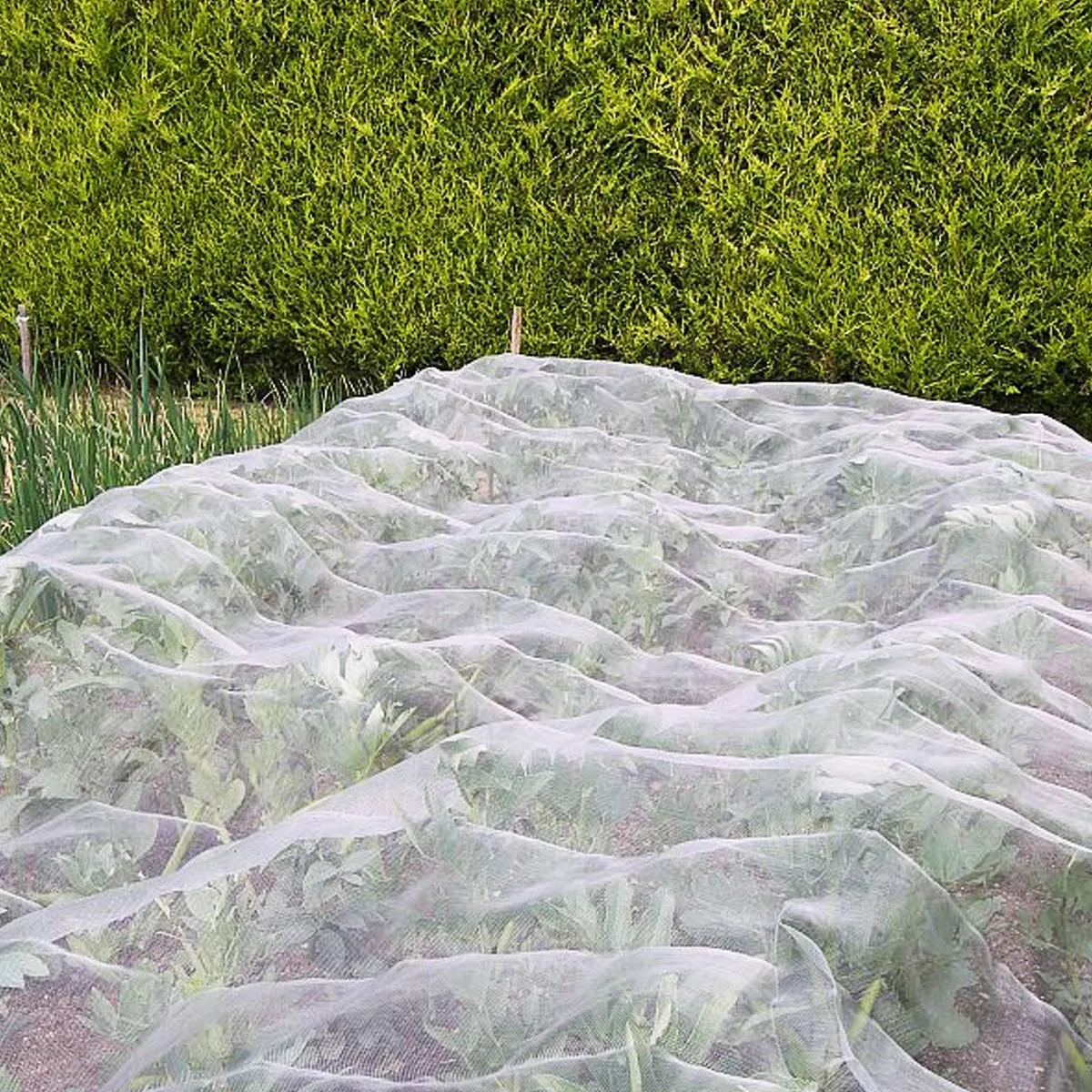 Anaya Mosquito Net Bug Insect Bird Net with Sewn Edges - 10 Ft x 10 Ft Barrier Hunting Blind Plant Cover Garden Mesh Netting for Protect Your Vegetables, Fruits, Flower & Trees, White