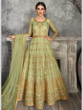 Butterfly Net - Anarkali