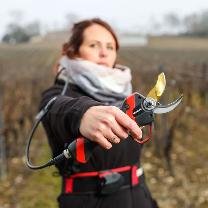 Electrocoup F3020 Standard Pruner.