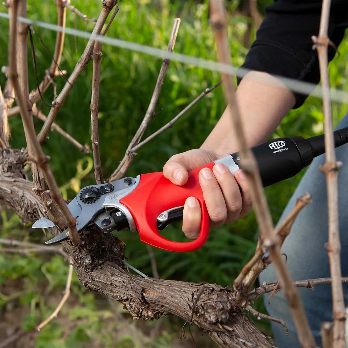 FELCO 802 Electric Pruner Kit with Standard Capacity Battery