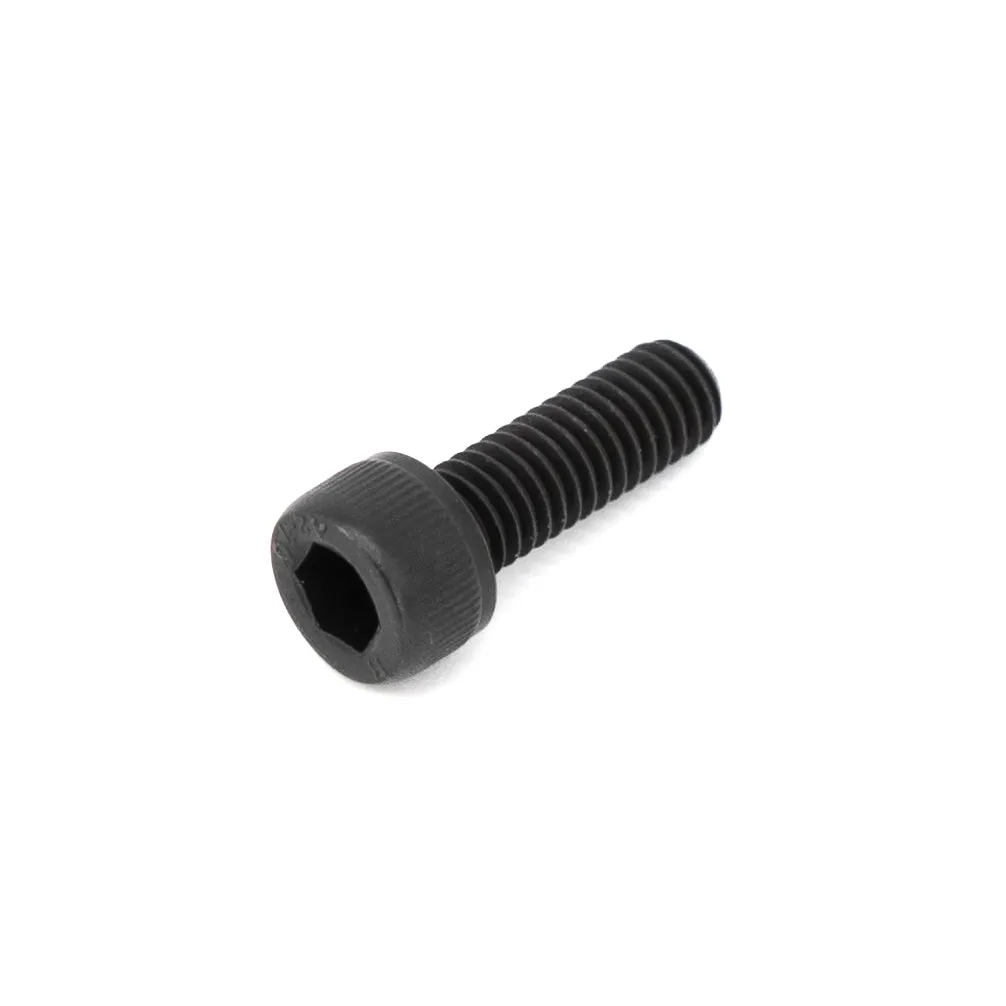 Hex Screws