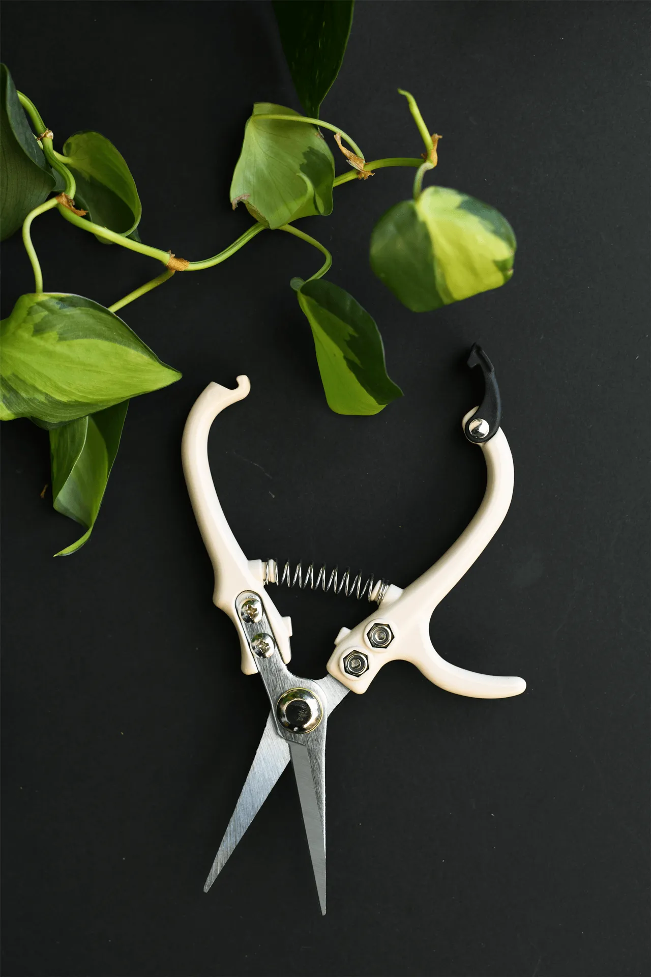 Jungle Club : Pruning Shears