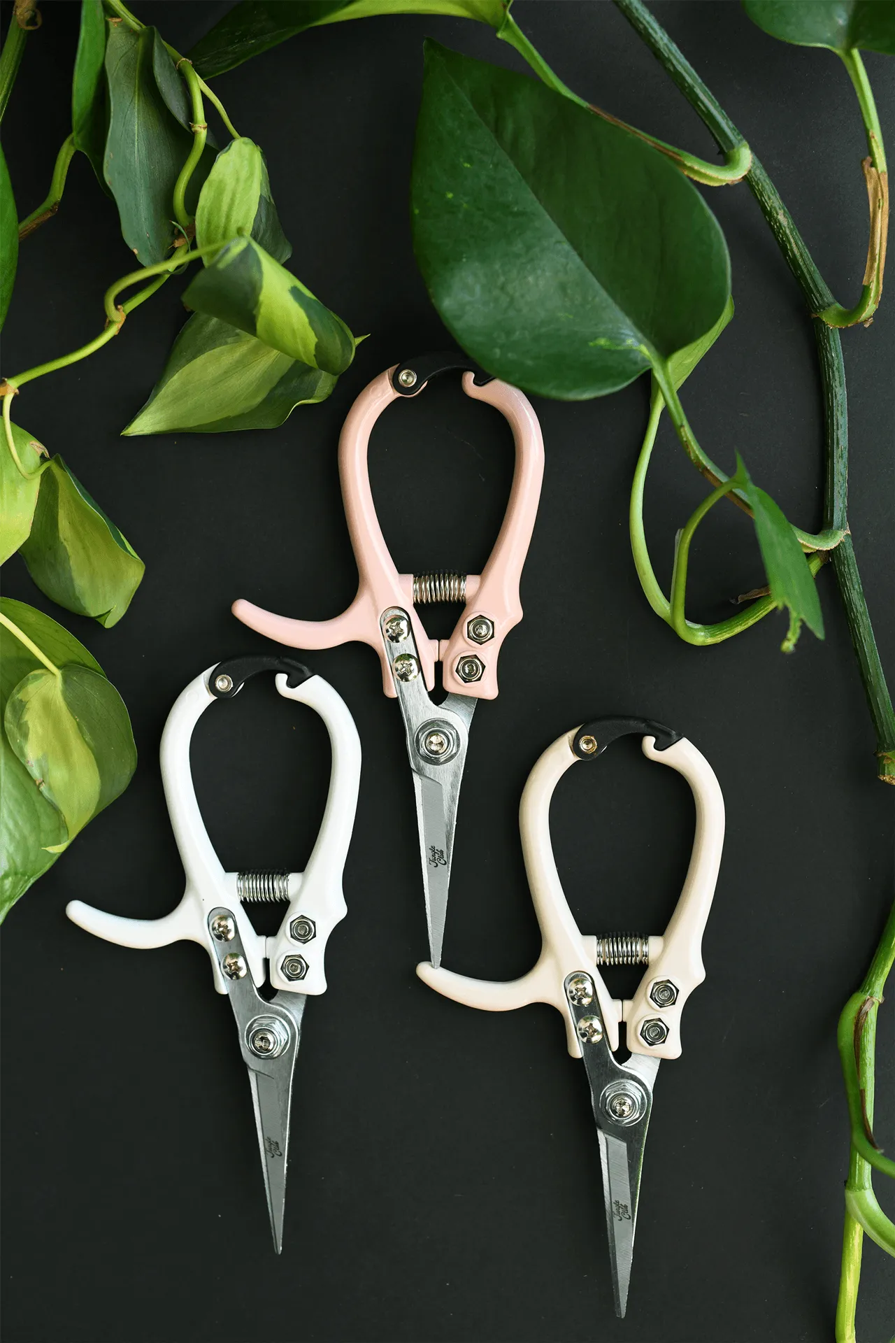 Jungle Club : Pruning Shears