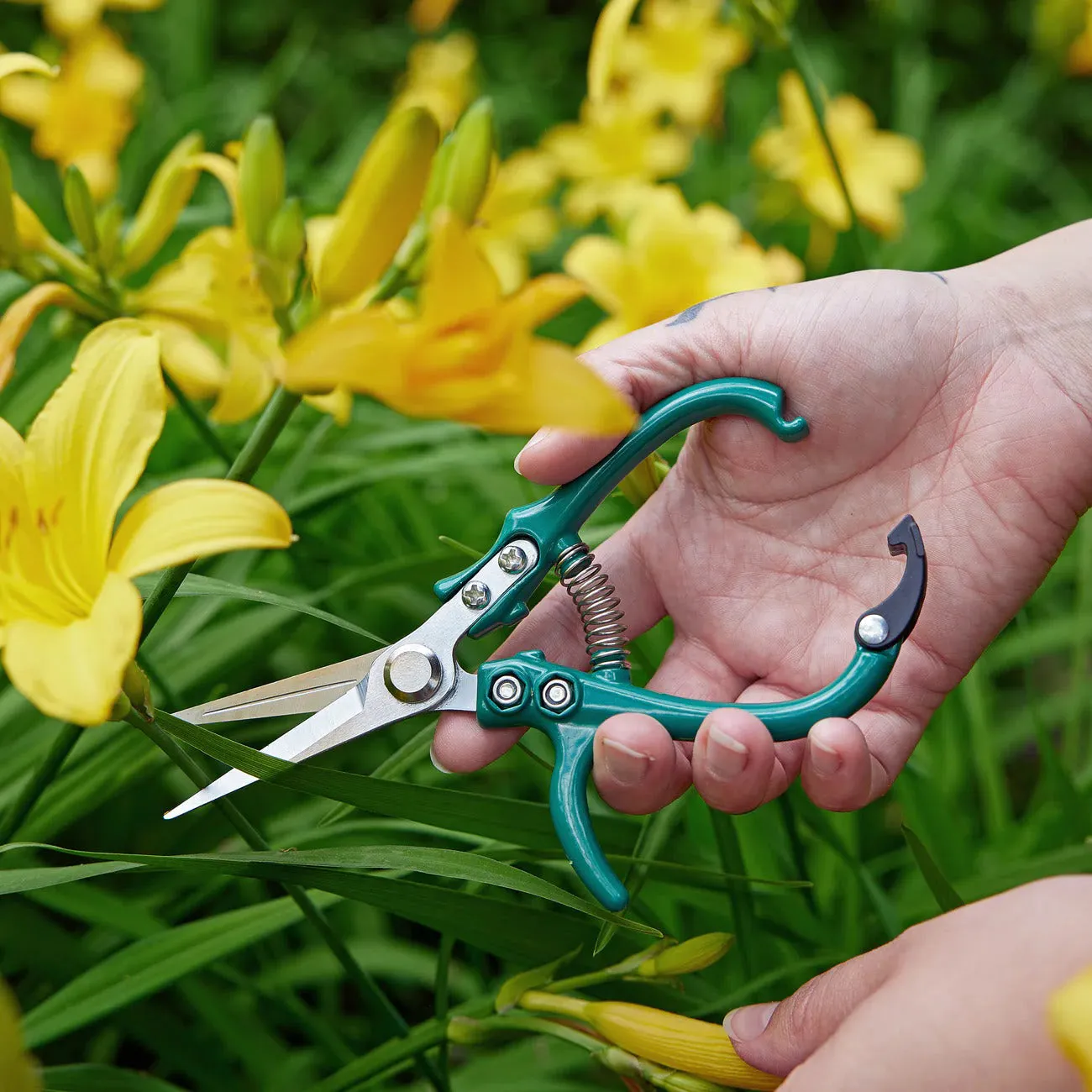 Plant Shears / Ocean Handle