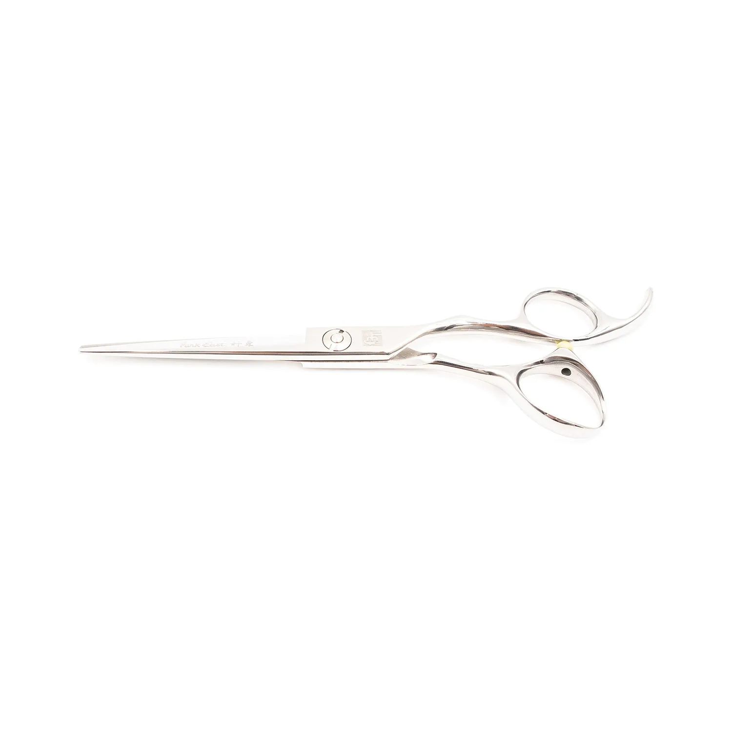 Professional 6" Salon Hair Cutting Scissors (9CR Steel)