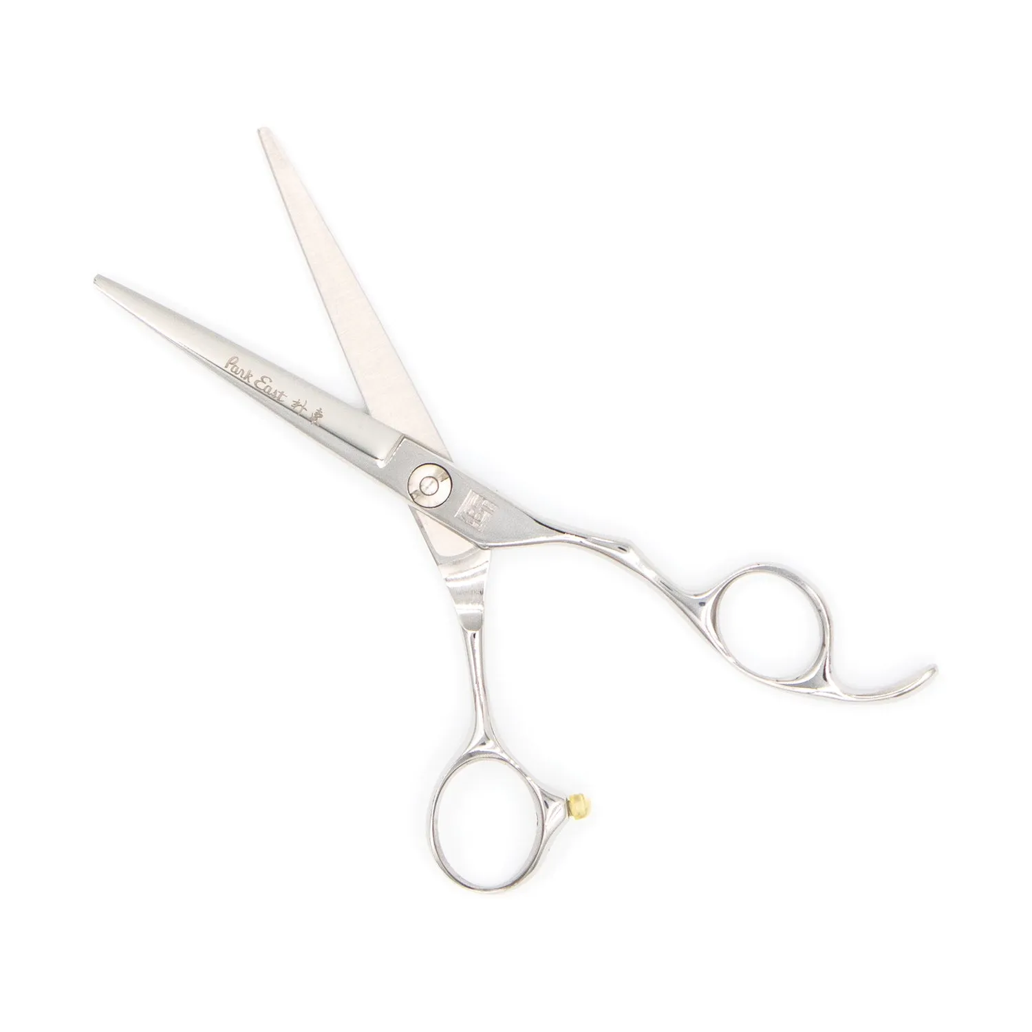 Professional 6" Salon Hair Cutting Scissors (9CR Steel)