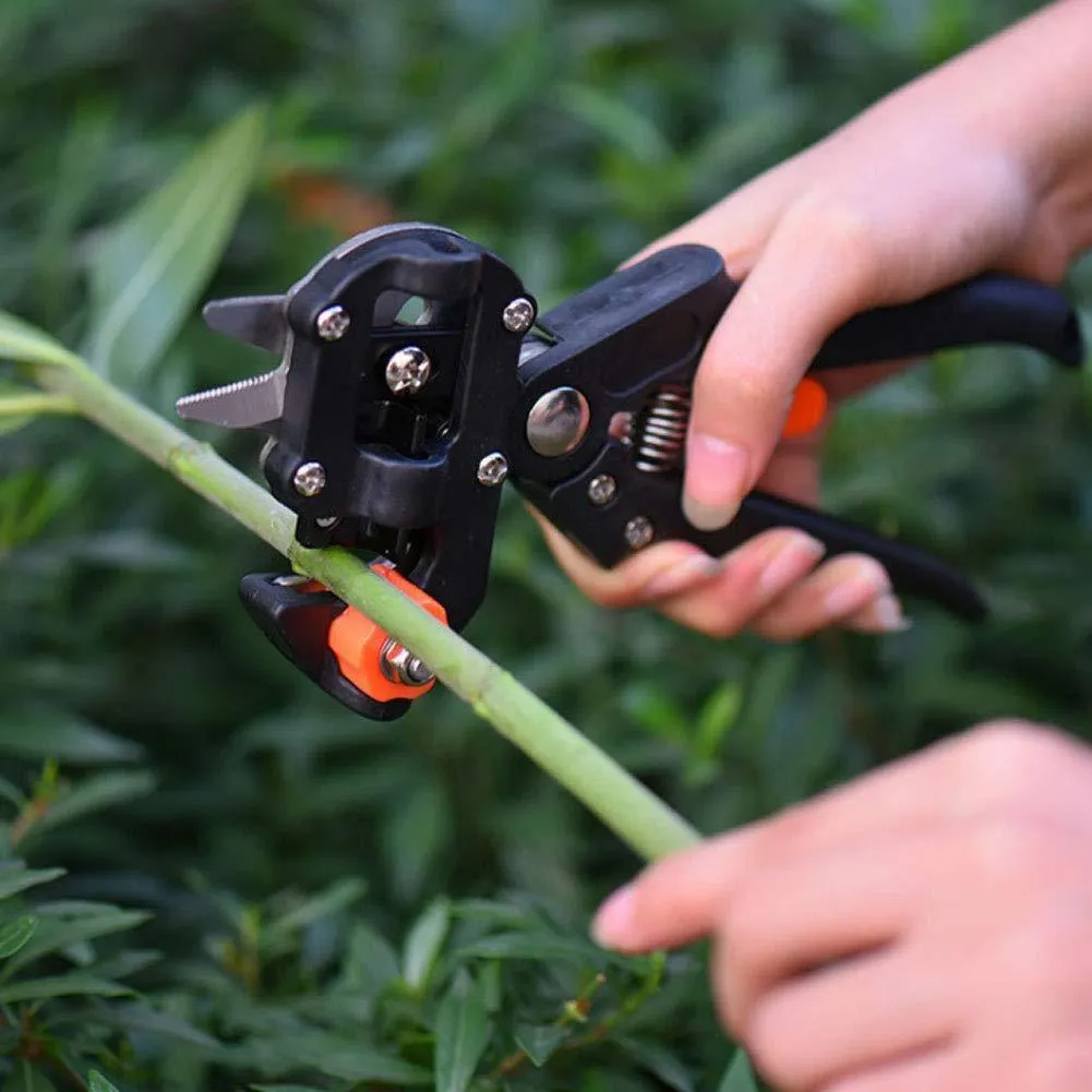 Professional Tree Grafter Kit