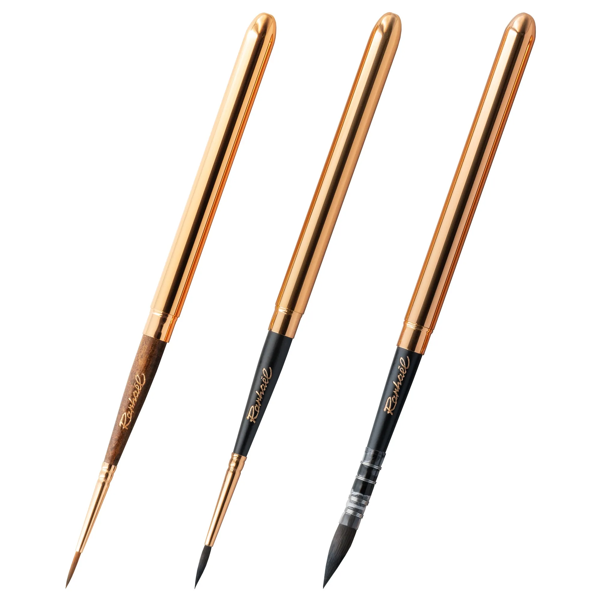 Raphael Le Voyageur Travel Brushes - Set of 3