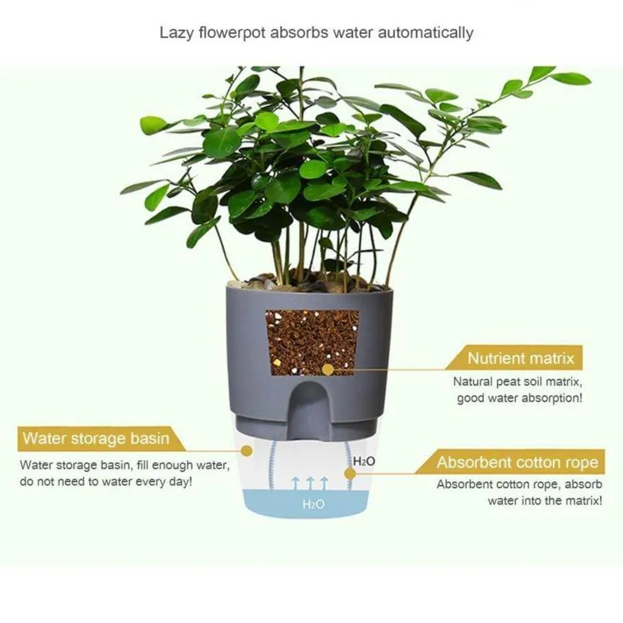 Self-watering Plant Pot with Water Container