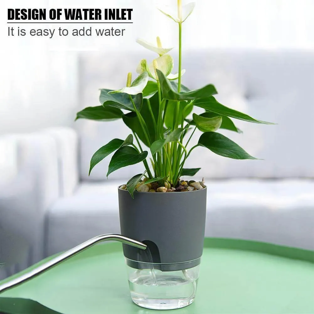 Self-watering Plant Pot with Water Container